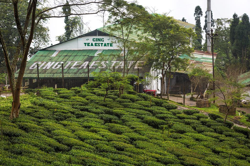 Ging Tea House Darjeeling (West Bengal) Exterior foto
